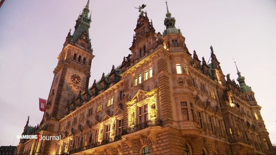 Das Hamburger Rathaus aus der Froschperspektive. © Screenshot 