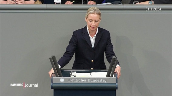 AfD-Politikerin Alice Weidel bei einer Rede im Bundestag. © Screenshot 
