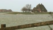 Ein Haus bei Hochwasser auf der Hallig Hooge. © NDR 