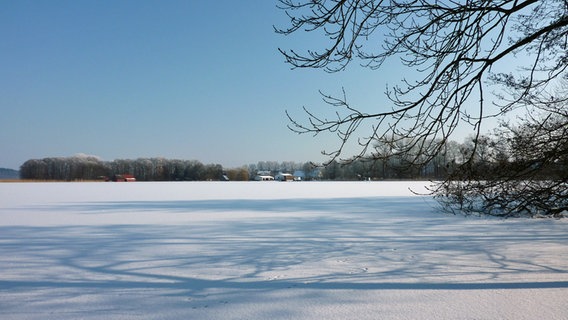 Blick auf den gefrorenen Schweriner See © NDR Foto: Uwe Tiedemann aus Klein Rogahn
