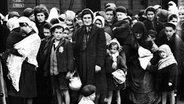 Ungarische Juden an der Rampe in Auschwitz-Birkenau 1944, aufgenommen von der SS. © picture-alliance/akg-images Foto: akg-images