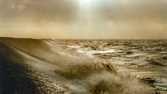 Ein Deich bei der Sturmflut 1962 © Oke Petersen Foto: Oke Petersen
