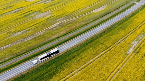 Eine Luftaufnahme zeigt einen Linienbus, der in Neuharlingersiel durch ein blühendes Rapsfeld fährt. © dpa Foto: Hauke-Christian Dittrich