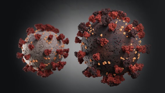 Zwei symbolische Darstellungen des Coronavirus in unterschiedlichen Farben. © PantherMedia Foto: imilian