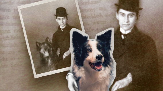 Eine Collage zeigt Franz Kafka und einen Hund. © NDR/Archiv Klaus Wagenbach 