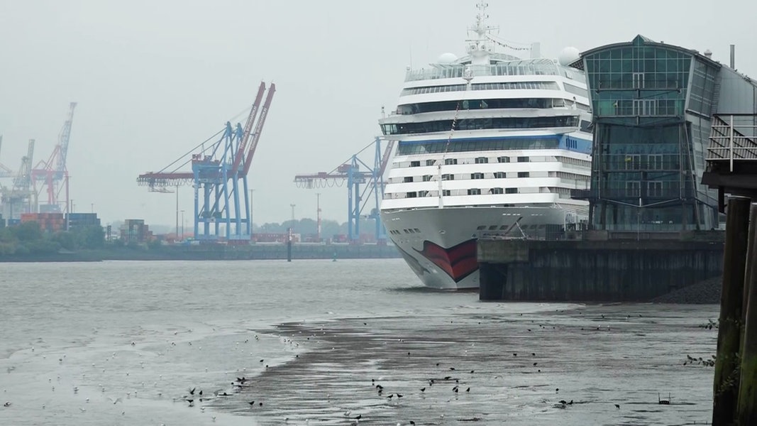 Niedrigwasser In Hamburg Schiffsverkehr War Eingeschr Nkt Ndr De