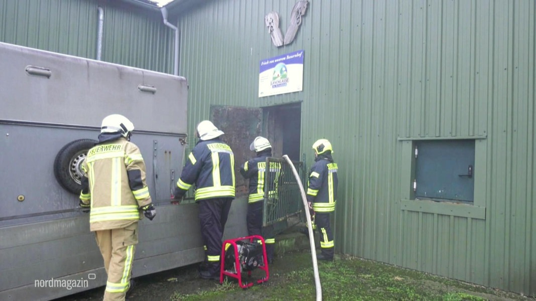 Landkreis Ludwigslust Parchim Brand In Schweinestall Ndr De