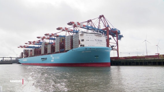 Das Containerschiff "Ane Maersk" im Hamburger Hafen. © Screenshot 