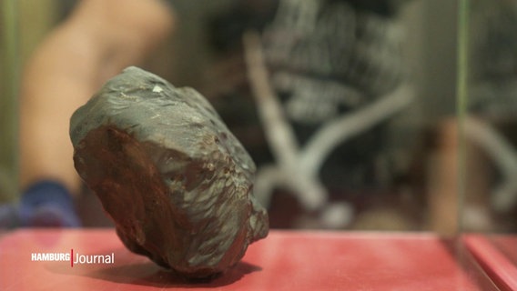 Der Elmshorner Meteorit in Nahaufnahme. © Screenshot 