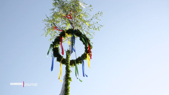 Ein Maibaum wurde traditionell zum Tanz in den 1. Mai aufgestellt. © Screenshot 