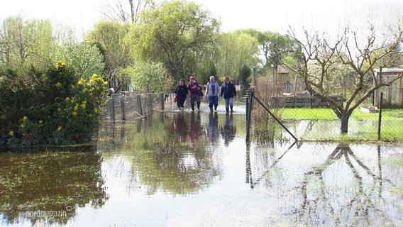 Vier Menschen mit Gummistiefeln gehen durch eine überflutete Kleingartenanlage. © Screenshot 