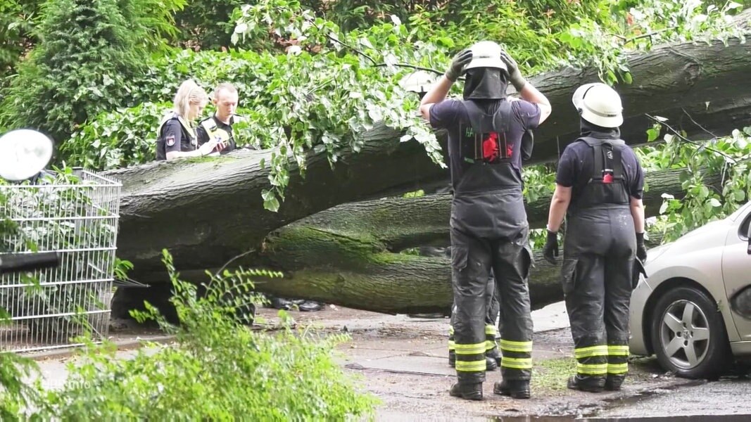 Unwetter Fast 900 Einsätze für Feuerwehr in Hamburg NDR de