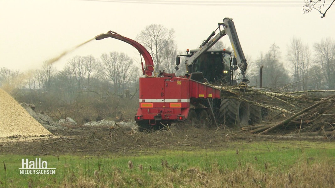 Ausbau des JadeWeserPorts in Wilhelmshaven wird geprüft NDR de