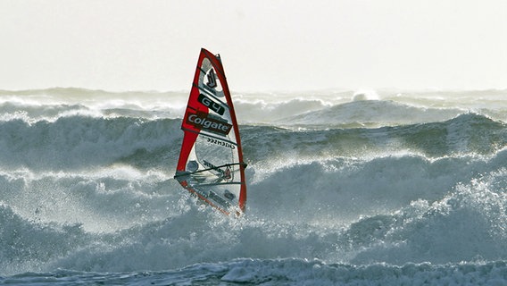 Ein Windsurfer in den Wellen © NDR Foto: Bastian Gnaß
