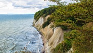 Chalk cliffs on Rügen © NDR Photo: Marion Schmidt from Barth