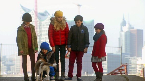 Pinja (Sina Michel), Till (Otto von Grevenmoor), Stella (Zoë Malia Moon), Ramin (Jan Piet) und Jale (Ava Sophie Richter) finden im Hafen einen Hund. © NDR Foto: Screenshot