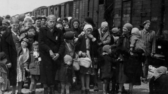 Jüdische Deportierte aus Ungarn stehen vor Bahnwaggons, mit denen sie gerade im Todeslager Auschwitz-Birkenau angekommen sind. © picture alliance / AP Photo 