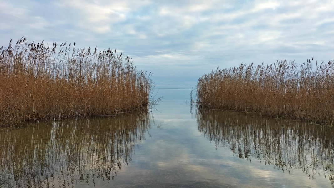 Stettiner Haff Ist Bedrohter See Des Jahres Ndr De Nachrichten