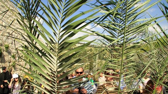 Leute tragen Palmwedel bei einer Prozession am Palmsonntag in Jerusalem © picture alliance Foto: Hanan Isachar