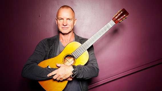 Sting © picture alliance / AP Images | Dan Hallman Foto: Dan Hallman