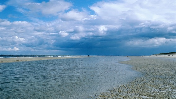 Blick auf das Wattenmeer und einen Priel an der deutschen Nordseeküste. © picture-alliance / OKAPIA Foto: Oswald Eckstein