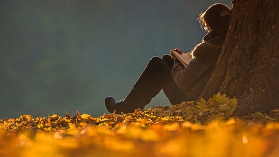 Eine Frau lehnt im Park am Anlagensee in Tübingen an einem Baum und liest in der herbstlichen Abendstimmung ein Buch. © dpa Foto: Wolfram Kastl