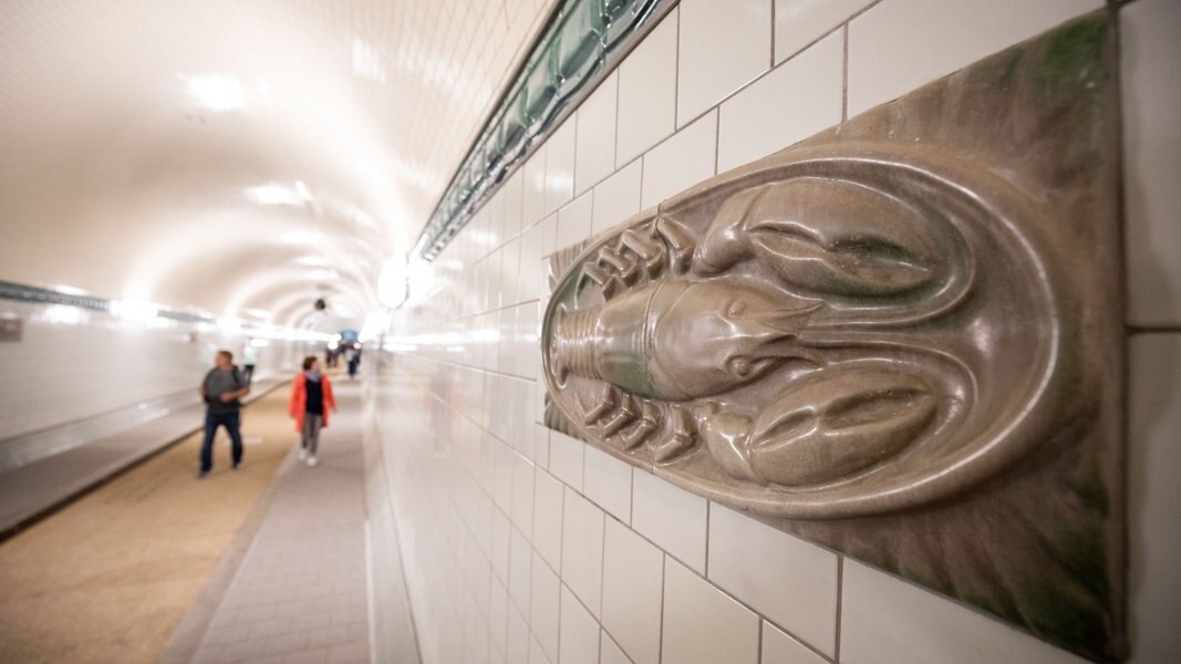 Alter Elbtunnel In Zukunft Ohne Autos Ndr De Nachrichten Hamburg