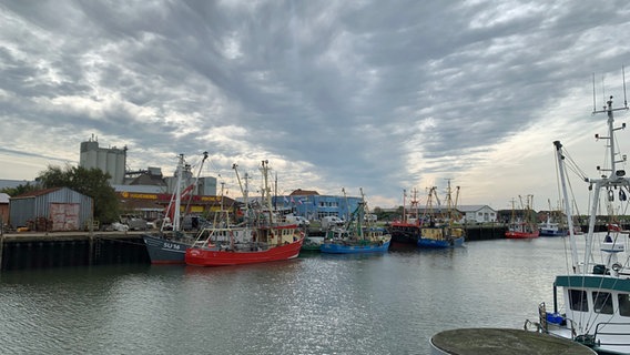 Blick auf den Fischereihafen von Büsum © Yasmin Appelhans / NDR 