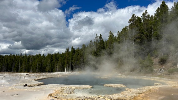Eine Art Geysir, Thermalquelle, im Yellowstone Nationalpark © NDR Foto: Claudia Sarre
