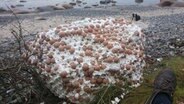 White pieces with brown balls on the beach of Cape Arkona © Hagen Sell Photo: Hagen Sell