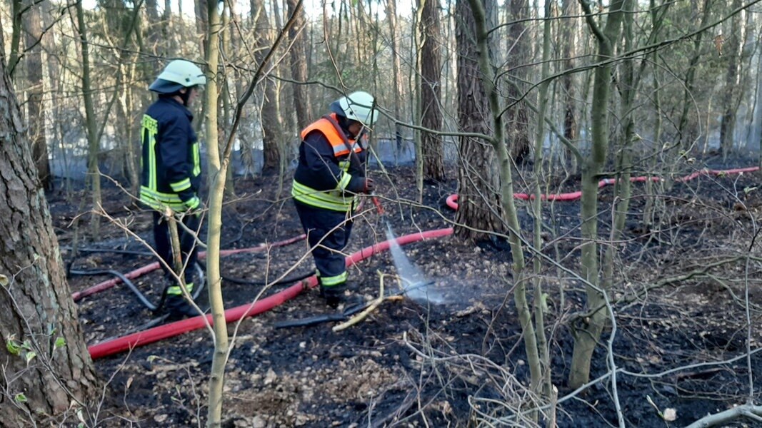 Rund 120 Feuerwehrleute löschen Waldbrand bei Goldberg NDR de