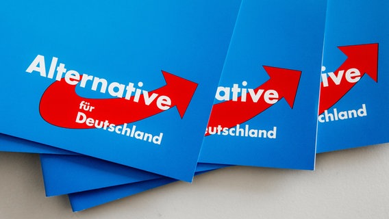 Das Logo der Alternative für Deutschland (AfD) ist auf Parteibroschüren zu sehen. © picture alliance Foto: Markus Scholz