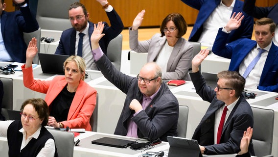 Landtagsabgeordnete der SPD-Fraktion heben bei einer Abstimmung über die Aufhebung der Immunität von Jörn Domeier die Hand - auch er selbst. © Julian Stratenschulte / dpa Bildfunk Foto: Julian Stratenschulte
