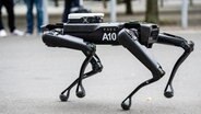 A four-footed robot with the A10 inscription can be seen. © Messe Hannover Photo: Rainer Jensen