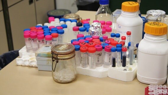 Im Labor stehen viele leere und volle Gefäße auf dem Tisch. © Linda Eberlin Foto: Linda Eberlin