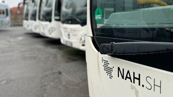 Mehrere Busse stehen auf dem Gelände des ÖPNV-Betriebs aktivbus in Flensburg. © NDR Foto: Tobias Gellert