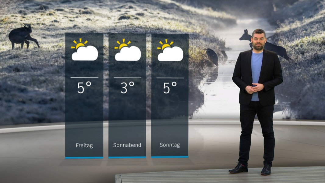 So Wird Das Wetter In Schleswig Holstein Ndr De Nachrichten