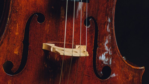 Ein Cello © NDR/Jewgeni Roppel Foto: Jewgeni Roppel