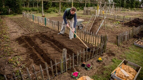 Gärtner Peter Rasch bearbeitet eine Anbaufläche im Garten. © NDR Foto: Udo Tanske