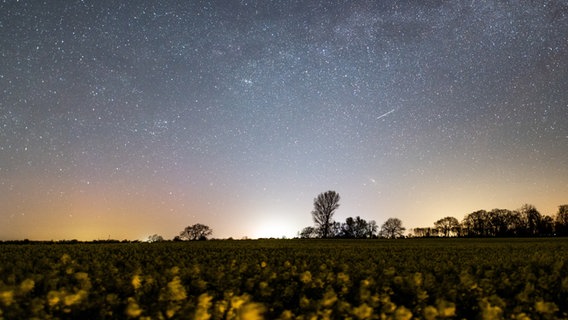 Sternenhimmel mit Sternschnuppe über einem Rapsfeld. © picture alliance/dpa Foto: Daniel Reinhardt