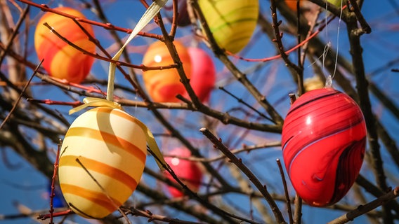 Bunte Plastikeier hängen in einem Baum © colourbox Foto: -