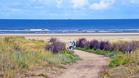 Besucher spazieren auf einem Weg durch die Dünen am Strand von Juist. © imago images Foto:  Sepp Spiegl