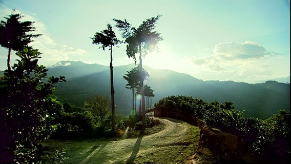 Blick auf eine Straße in den Bergen Costa Ricas. Der Himmel ist klar und die Sonne strahlt hinter den Bergspitzen hervor.  