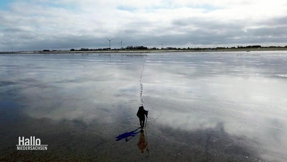 Ein Spaziergänger am Wattenmeer. © Screenshot 