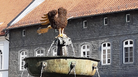 Ein Bienenschwarm umringt den Kaiseradler am Marktbrunnen in Goslar. © Eva Schaa Foto: Eva Schaa