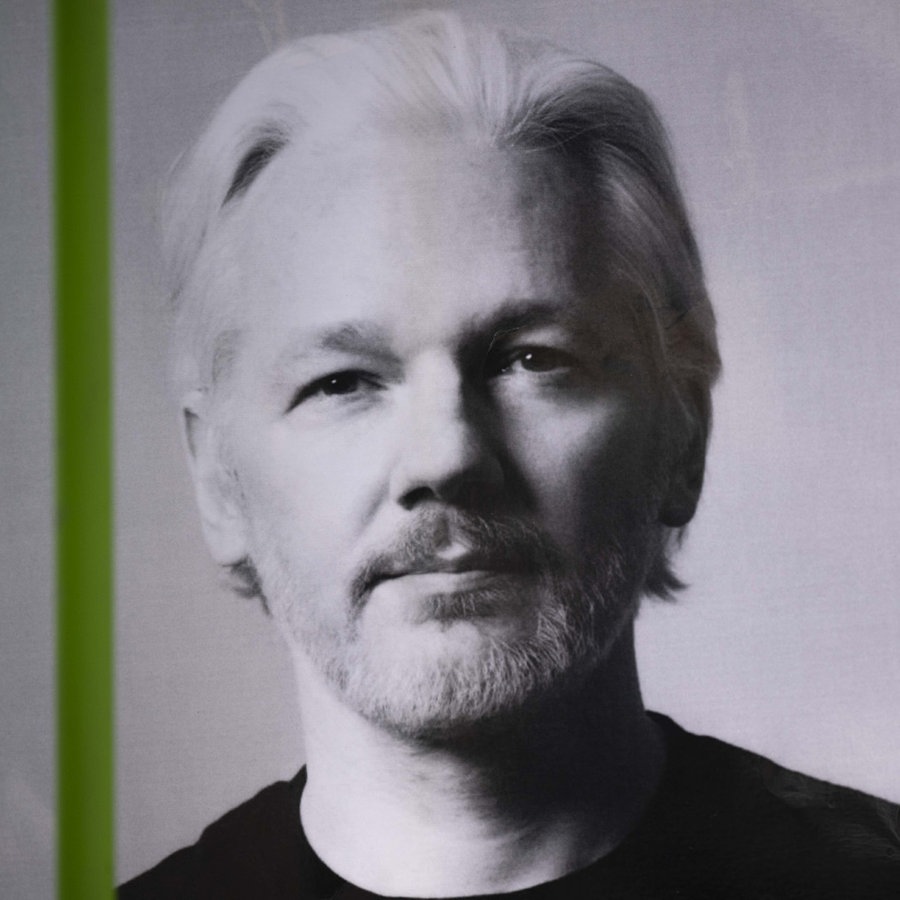 Assanges Fall