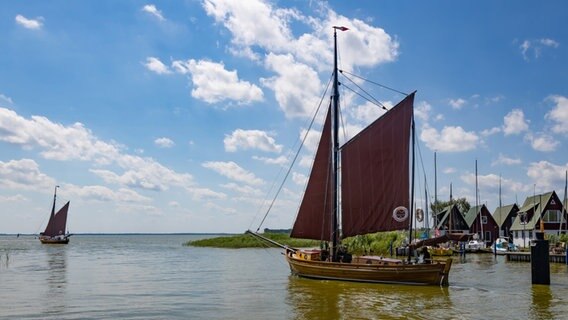 Boddenlandschaft mit Segelbooten © IMAGO / Panthermedia 