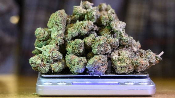 Ein Haufen Cannabisblüten liegt auf einer digitalen Waage. © picture alliance/dpa Foto: Robert Michael