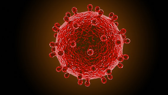 Grafische Darstellung eines Coronavirus © COLOURBOX Foto: Volodymyr Horbovyy