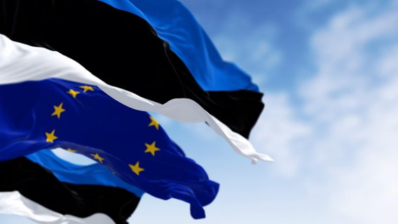 Estonische und EU Flagge im Wind © picture alliance / Zoonar Foto: Valerio Rosati